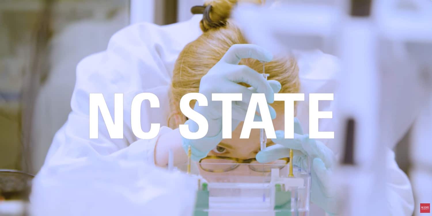 Image of a female loading a gel in a laboratory setting.